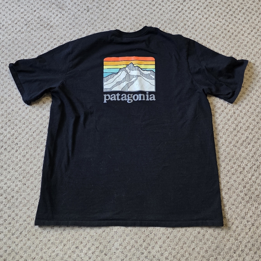 Patagonia tee